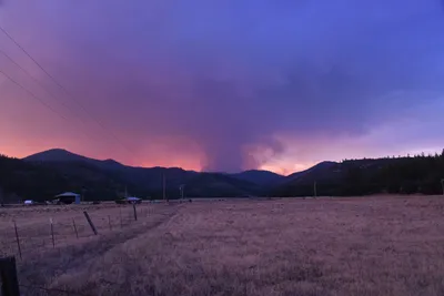 DSC_1837 (Large).JPG